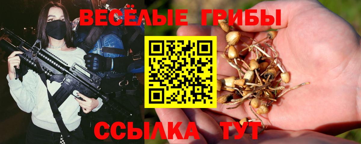 Сафоново  Псилоцибиновые грибы ЛСД  Вход с VPN 